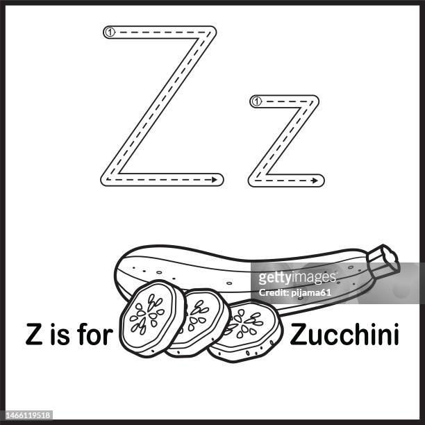 Squash and zucchini drawing stock photos high