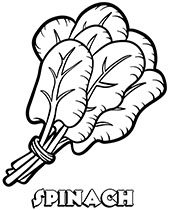 Zucchini coloring page vegetable