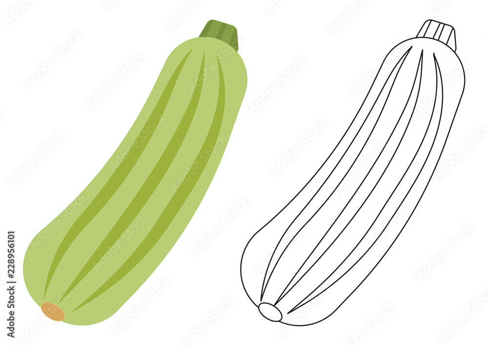 Zucchini vegetable cartoon coloring page game for children vector