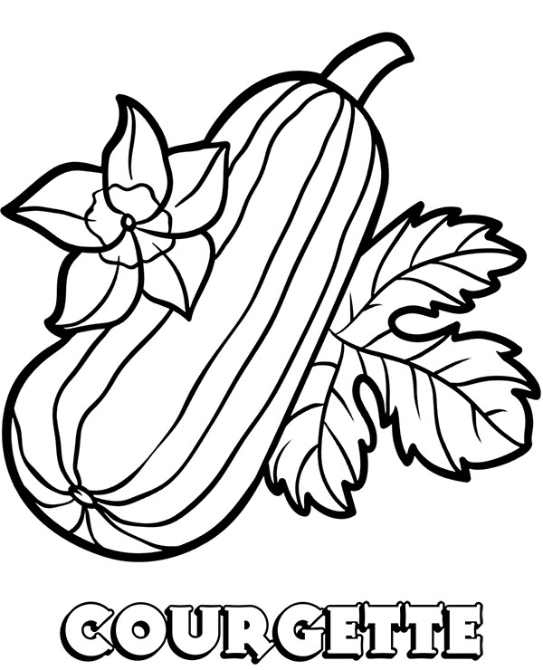 Zucchini printable coloring page vegetable