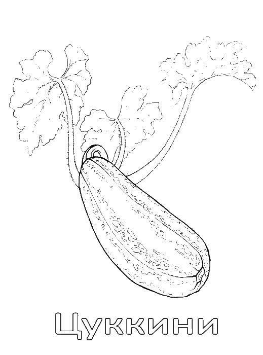 Online coloring pages coloring ðñðºðºððð ðððñð coloring pages for kids