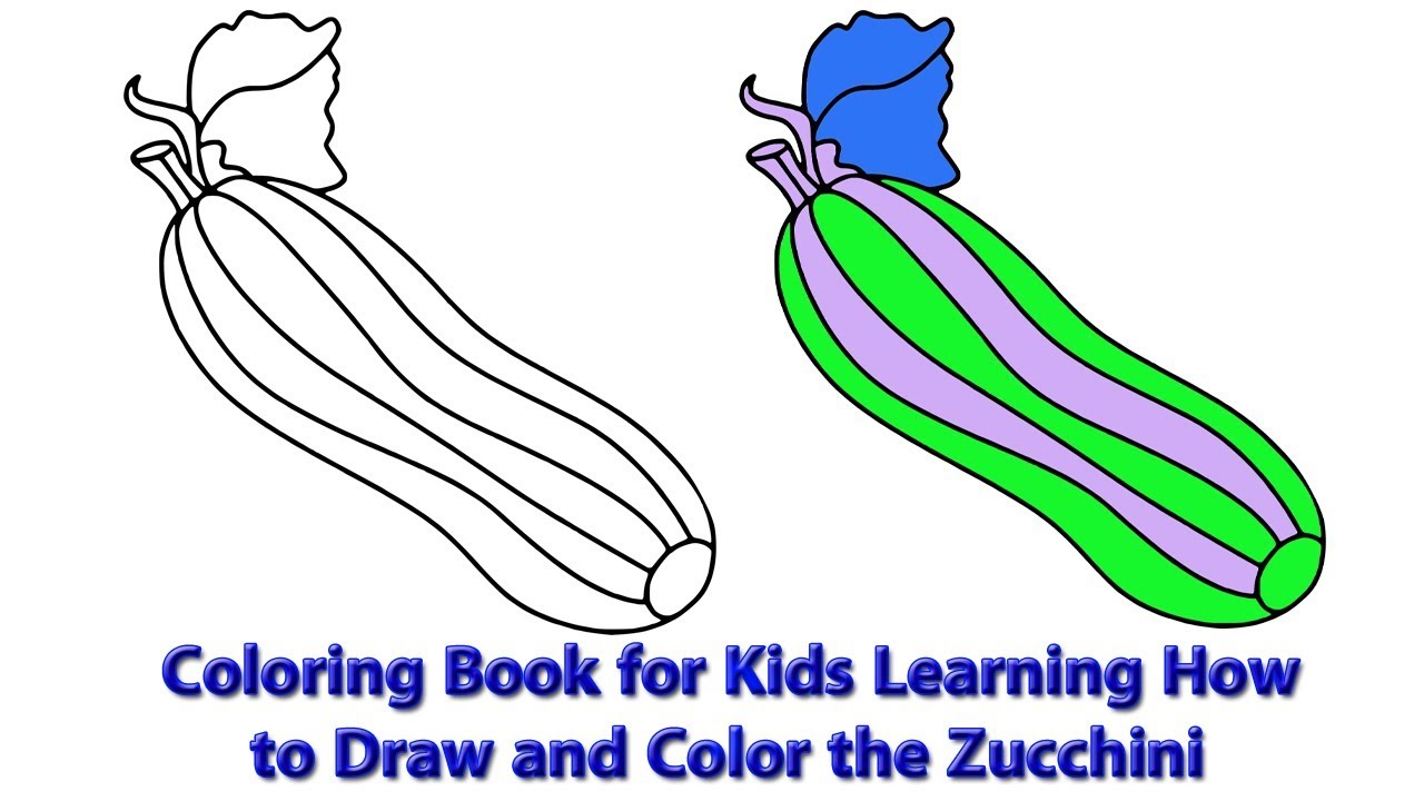 Coloring book for kids learning how to draw and color the zucchini
