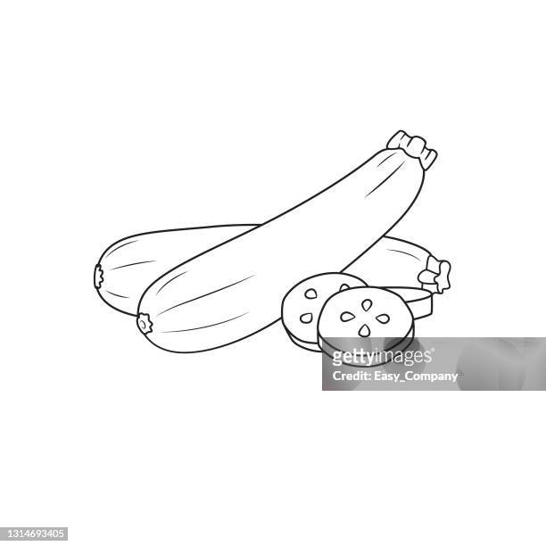 Vector illustration of zucchini isolated on white background organic vegetables and fruits cartoon concepts education and school kids coloring page printable activity worksheet flashcard high