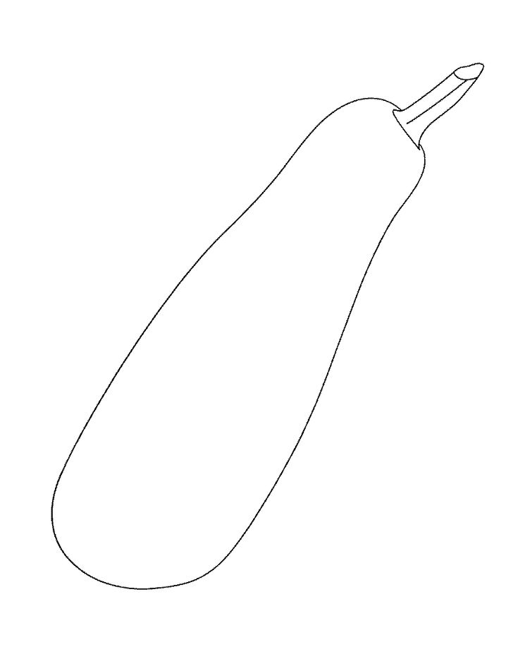 Zucchini coloring pages