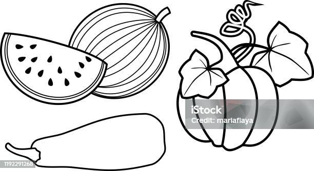 Coloring page set of different gourd vegetables pumpkin zucchini and watermelon stock illustration