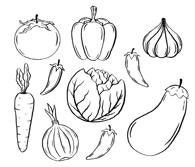Page zucchini coloring pages images