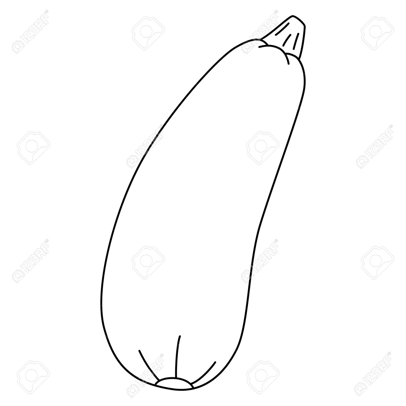 Black and white cartoon vector illustration of zucchini for coloring book ripe vegetable source of vitamins royalty free svg cliparts vectors and stock illustration image