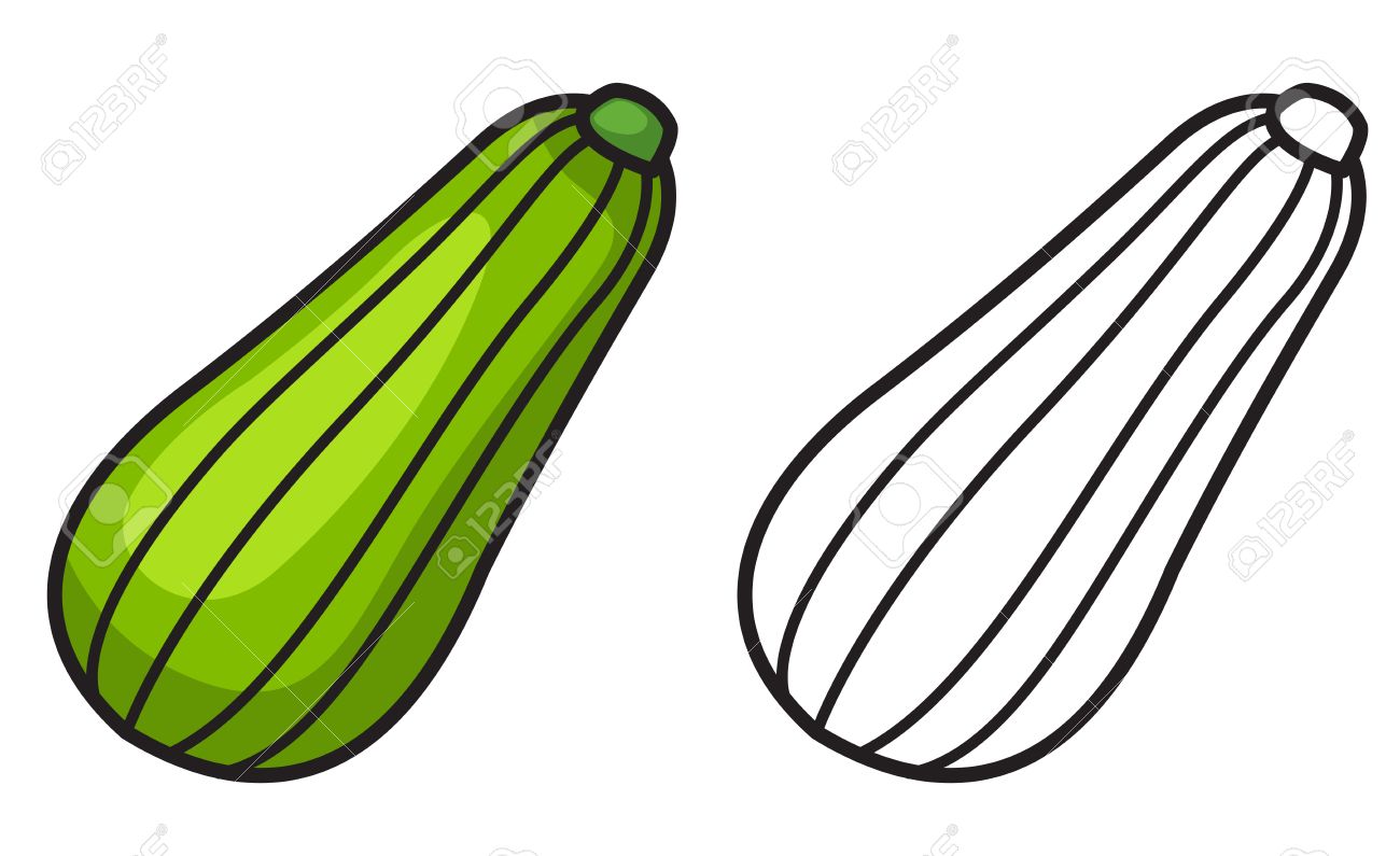 Illustration of isolated colorful and black and white zucchini for coloring book royalty free svg cliparts vectors and stock illustration image