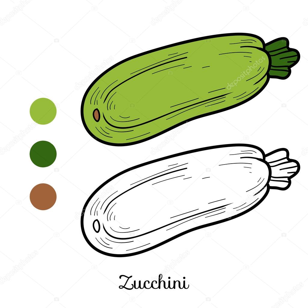 Coloring book fruits and vegetables zucchini stock vector by ksenyasavva