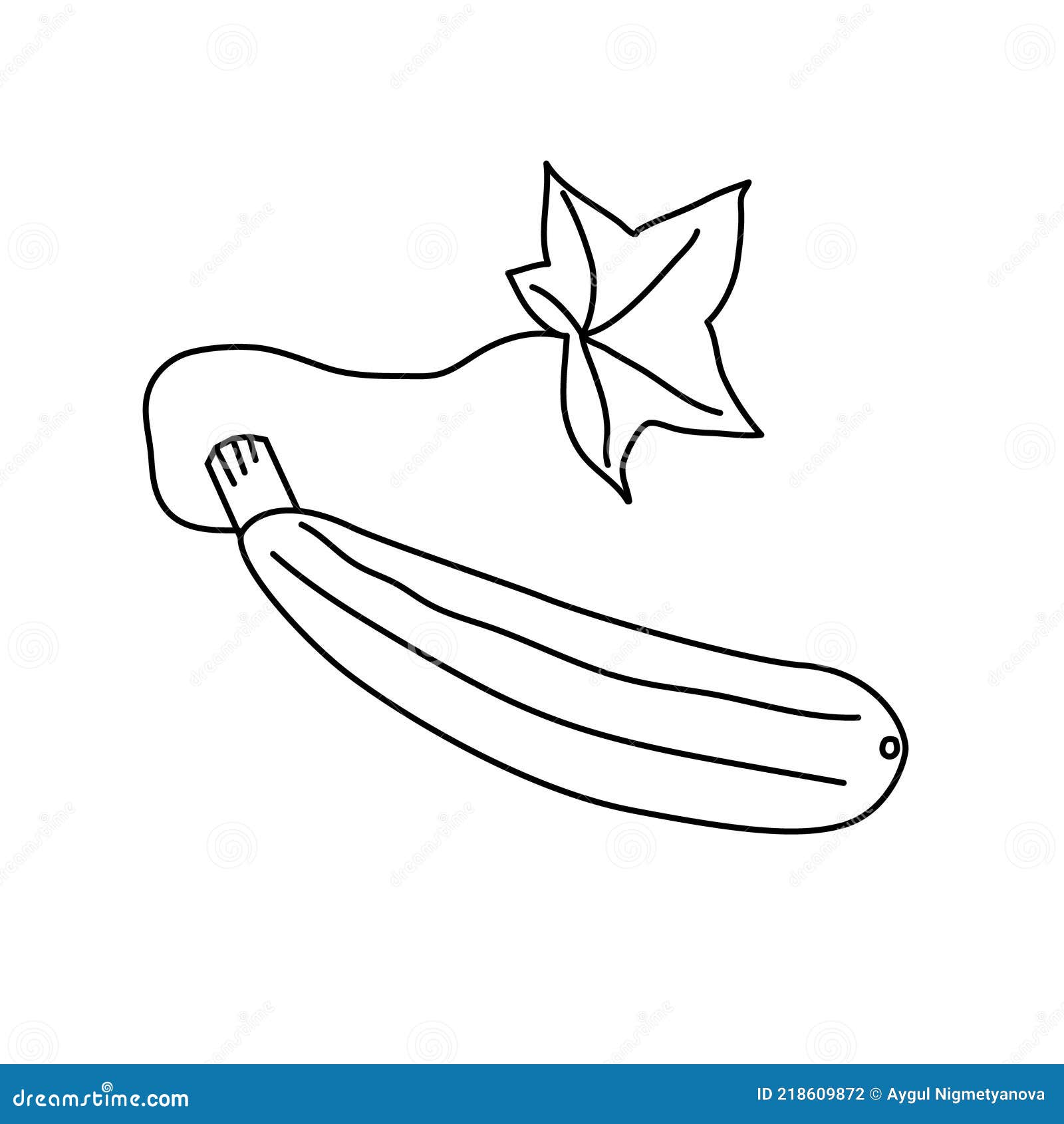 Zucchini coloring sheet black and white vector illustration stock vector