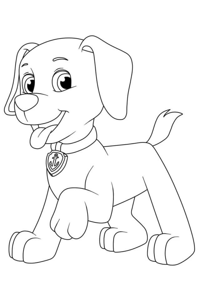 Great zuma coloring page